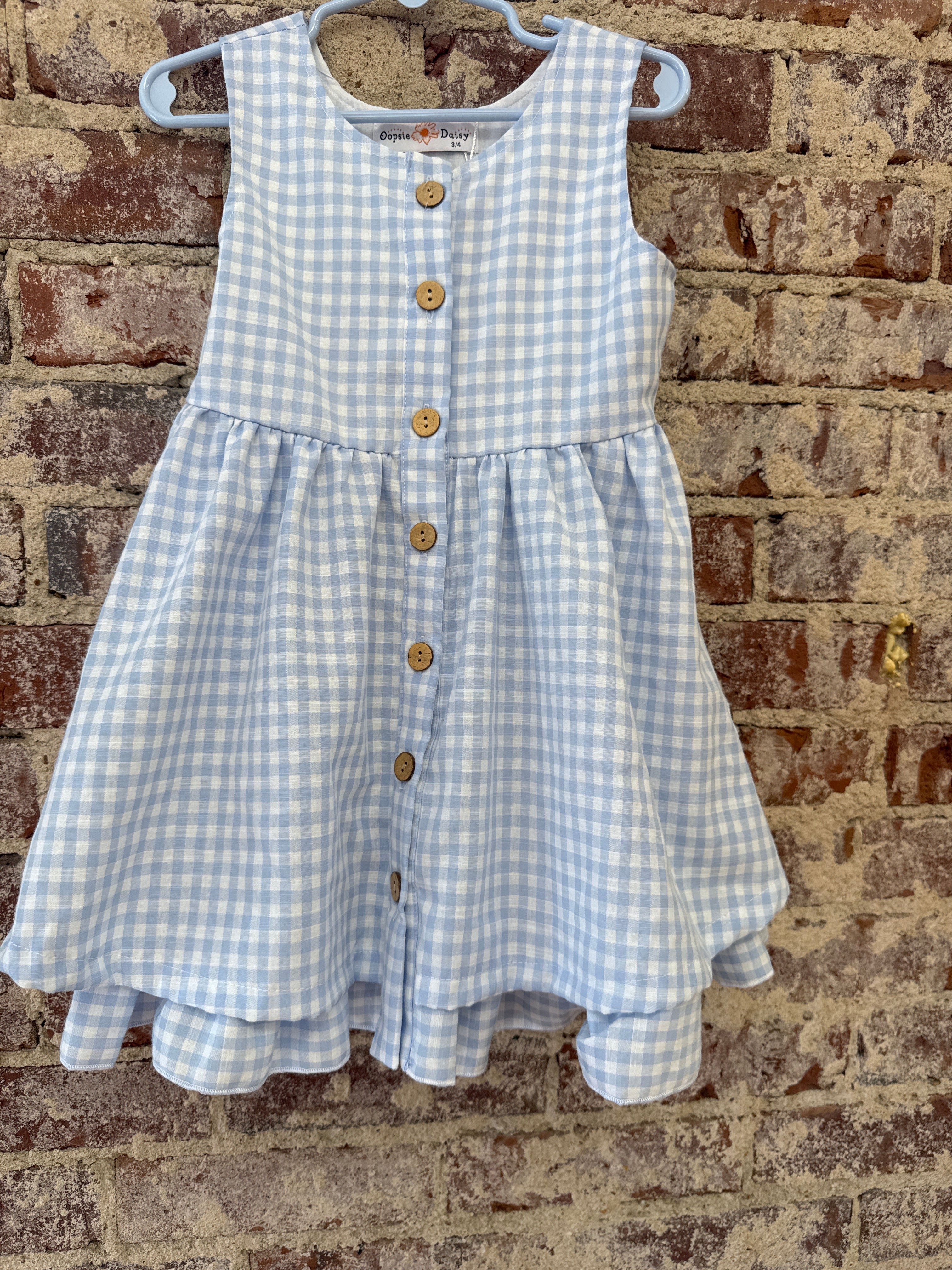 Gingham Blue Dress
